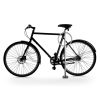 Cykelpollare Cirkus